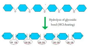 Hydrolysis diagram